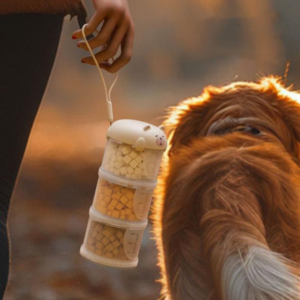 صندوق طعام القطط البلاستيكي ال - مراجعة Food Storage For Dog وسعره